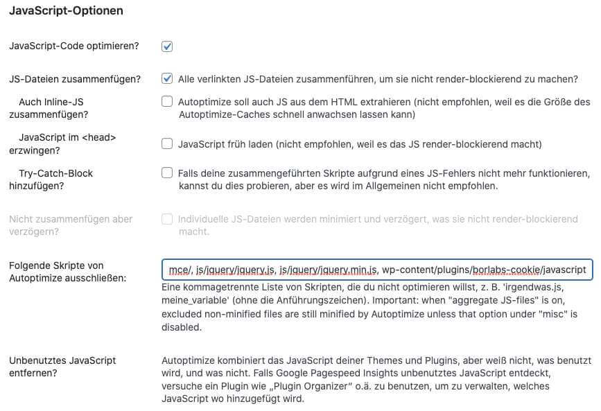 Javascript Optionen Autoptimize einstellen